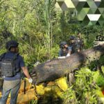 Seluruh Masyarakat Sipil Korban Pembunuhan KKB Berhasil Dievakuasi