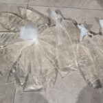 Caption foto: Ilustrasi Miras Lokal (Milo) jenis Sopi yang diduga dijual di wilayah hukum Polsek Mimika Baru.