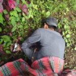 Dua Pekerja Sipil Bangunan Meninggal Dunia Ditembak KKB, Satgas Ops Damai Cartenz Sigap Lakukan Pengejaran dan Evakuasi Korban