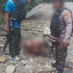 Dua Personel Brimobda Yon C Nabire Gugur Diserang KKB Pimpinan Aibon Kogoya