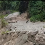 Longsor Jalan Trans Nabire Jadi Penyebab Mimika 13 Jam Tanpa Layanan Komunikasi