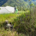 Satgas Ops Damai Cartenz Pukul Mundur KKB Usai KKB Bakar Bangunan Puskesmas di Kiwirok