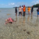 Tim SAR Gabungan Temukan Nelayan Hilang di Perairan Kaimana
