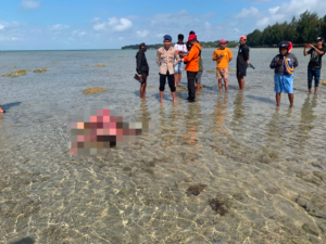 Tim SAR Gabungan Temukan Nelayan Hilang di Perairan Kaimana