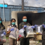 Karantina Papua Tengah Musnahkan 6 Kg Daging dan Sampel Laboratorium Ilegal
