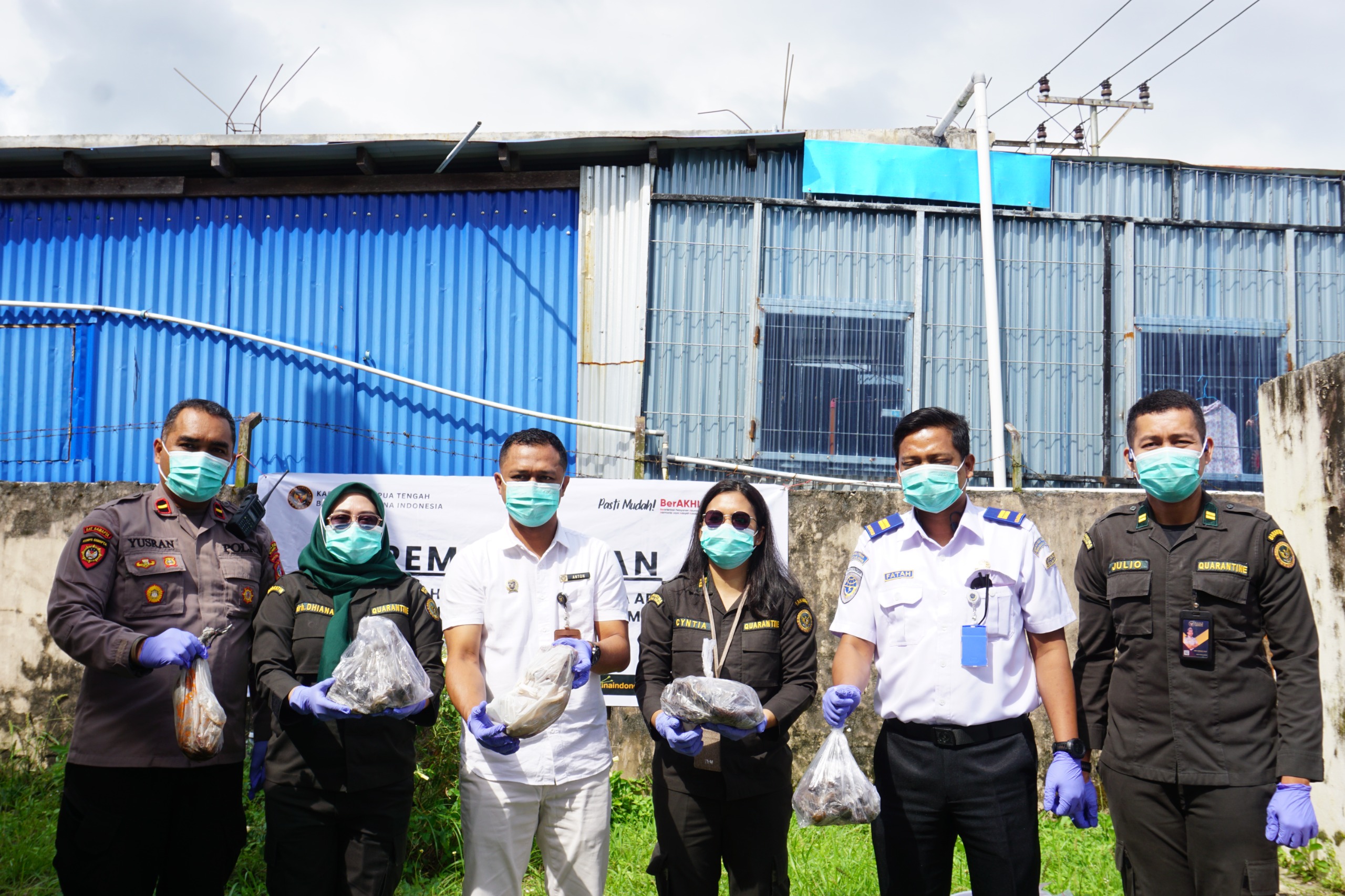 Karantina Papua Tengah Musnahkan 6 Kg Daging dan Sampel Laboratorium Ilegal 2 IMG 20260729 WA0019