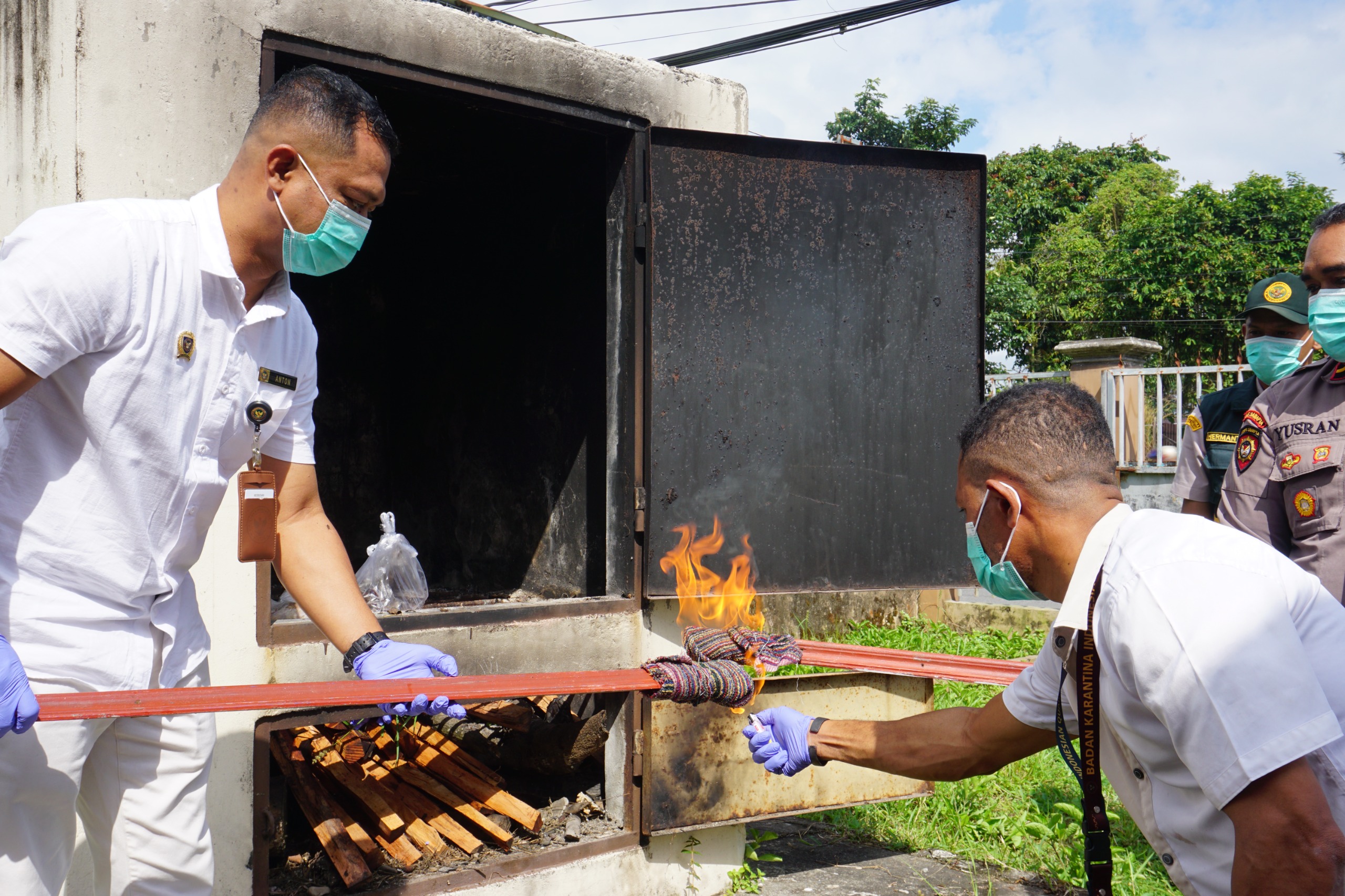 Karantina Papua Tengah Musnahkan 6 Kg Daging dan Sampel Laboratorium Ilegal 3 IMG 20260729 WA0020