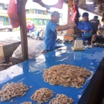 Harga Ikan Stabil Jelang Akhir Agustus, Pasokan Melimpah di Pasar Sentral Mimika