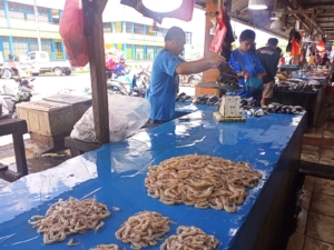 Harga Ikan Stabil Jelang Akhir Agustus, Pasokan Melimpah di Pasar Sentral Mimika