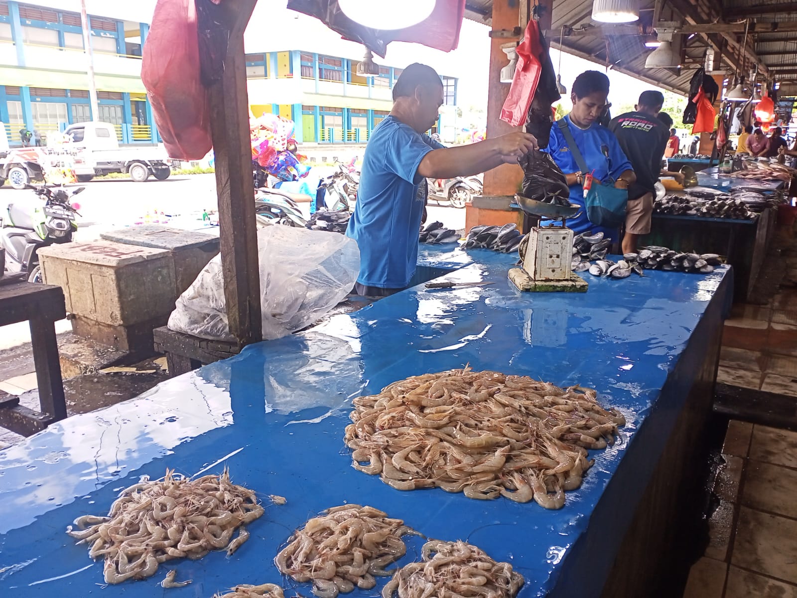 Harga Ikan Stabil Jelang Akhir Agustus, Pasokan Melimpah di Pasar Sentral Mimika 1 Harga Ikan Stabil Jelang Akhir Agustus, Pasokan Melimpah di Pasar Sentral Mimika
