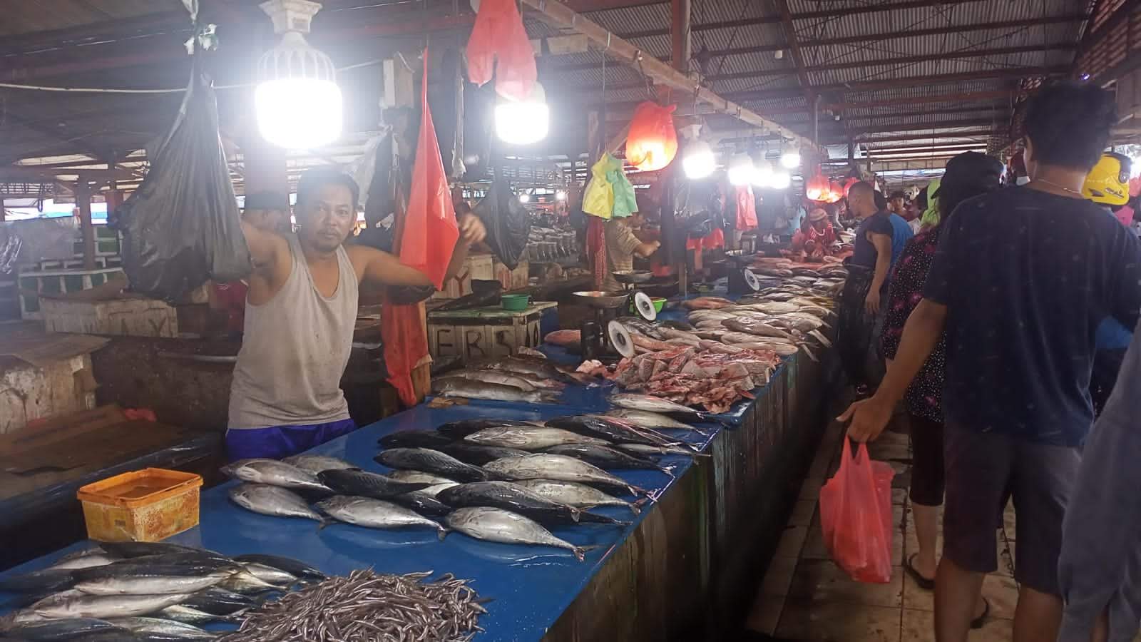 Harga Ikan Stabil Jelang Akhir Agustus, Pasokan Melimpah di Pasar Sentral Mimika 3 IMG 20260824 WA0026